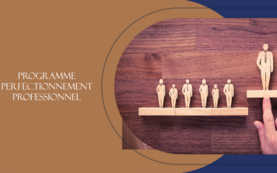 Programme Perfectionnement Professionnel